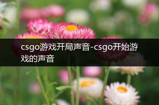 csgo游戏开局声音-csgo开始游戏的声音