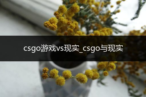 csgo游戏vs现实_csgo与现实