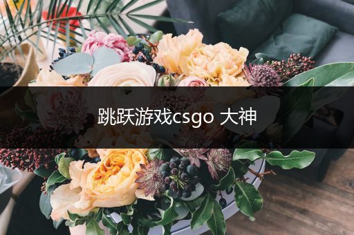跳跃游戏csgo 大神