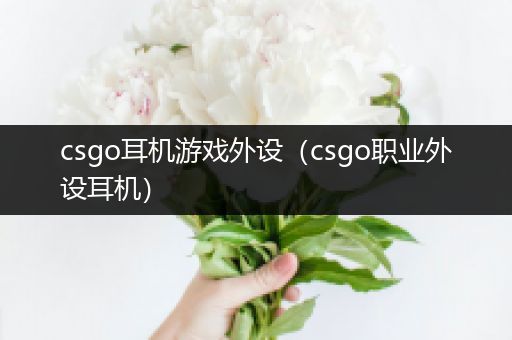 csgo耳机游戏外设（csgo职业外设耳机）
