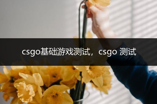 csgo基础游戏测试，csgo 测试