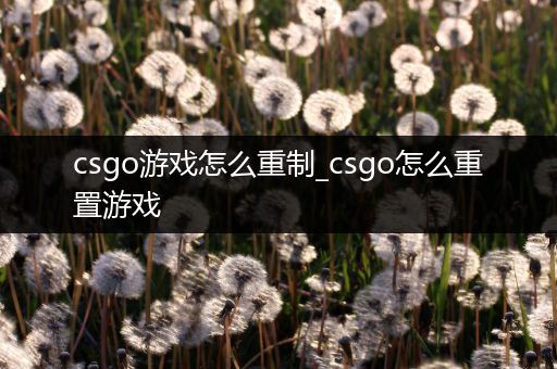 csgo游戏怎么重制_csgo怎么重置游戏