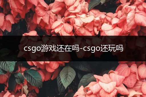 csgo游戏还在吗-csgo还玩吗