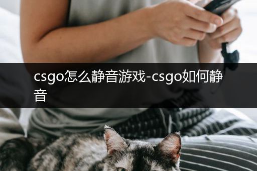 csgo怎么静音游戏-csgo如何静音