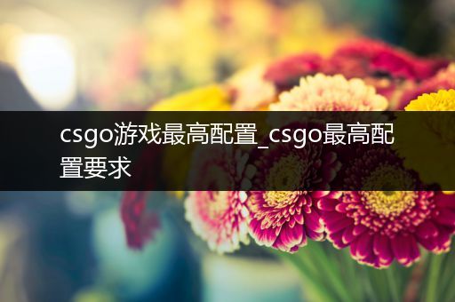 csgo游戏最高配置_csgo最高配置要求