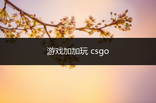 游戏加加玩 csgo