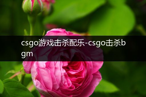 csgo游戏击杀配乐-csgo击杀bgm