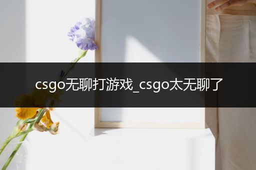 csgo无聊打游戏_csgo太无聊了