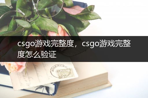 csgo游戏完整度，csgo游戏完整度怎么验证