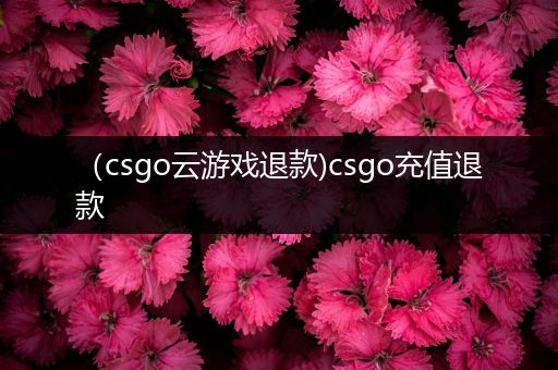 （csgo云游戏退款)csgo充值退款