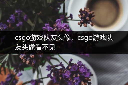 csgo游戏队友头像，csgo游戏队友头像看不见