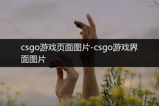 csgo游戏页面图片-csgo游戏界面图片