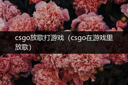 csgo放歌打游戏（csgo在游戏里放歌）