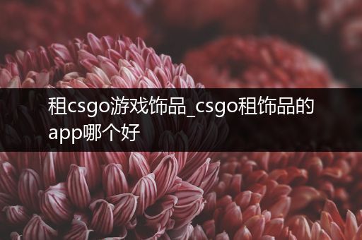 租csgo游戏饰品_csgo租饰品的app哪个好