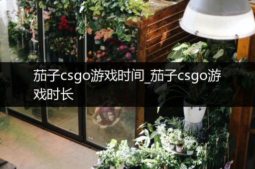 茄子csgo游戏时间_茄子csgo游戏时长