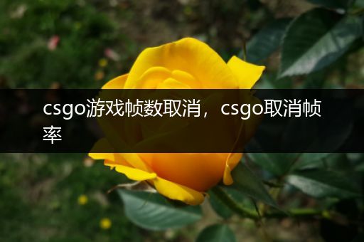 csgo游戏帧数取消，csgo取消帧率