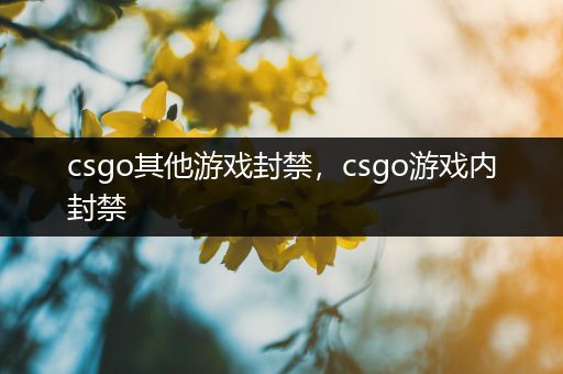csgo其他游戏封禁，csgo游戏内封禁
