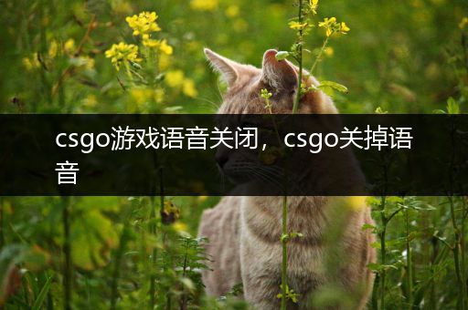 csgo游戏语音关闭，csgo关掉语音