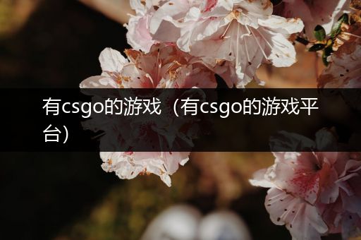 有csgo的游戏（有csgo的游戏平台）