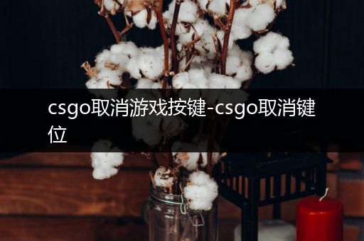 csgo取消游戏按键-csgo取消键位