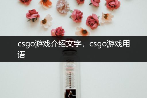 csgo游戏介绍文字，csgo游戏用语