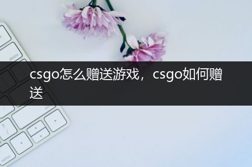 csgo怎么赠送游戏，csgo如何赠送