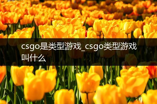 csgo是类型游戏_csgo类型游戏叫什么