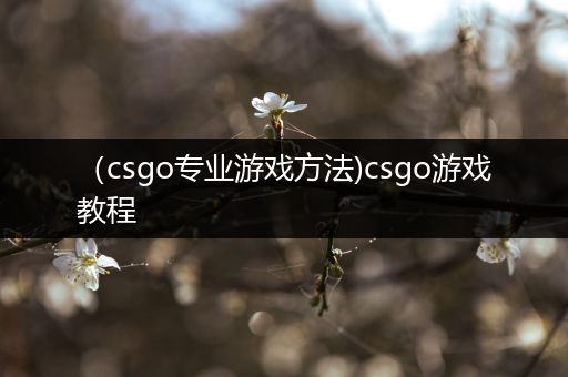 （csgo专业游戏方法)csgo游戏教程