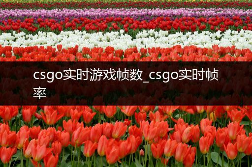 csgo实时游戏帧数_csgo实时帧率