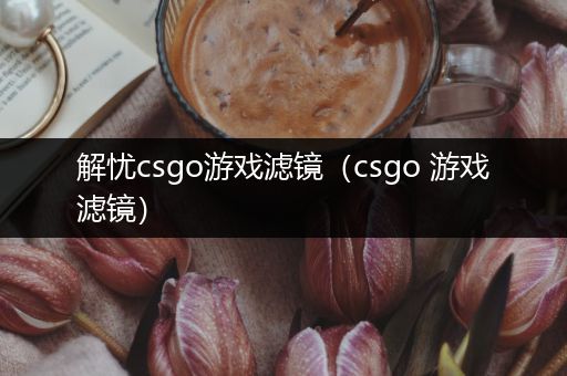 解忧csgo游戏滤镜（csgo 游戏滤镜）