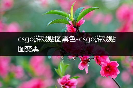 csgo游戏贴图黑色-csgo游戏贴图变黑