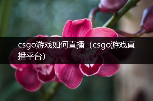 csgo游戏如何直播（csgo游戏直播平台）
