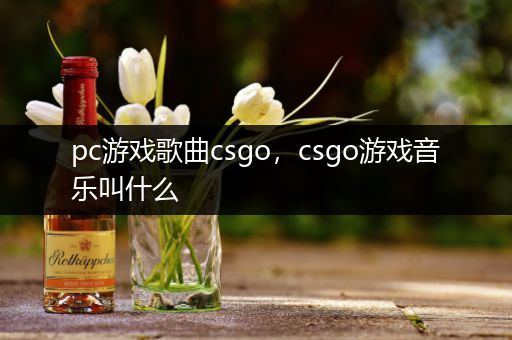pc游戏歌曲csgo，csgo游戏音乐叫什么