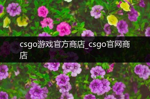 csgo游戏官方商店_csgo官网商店