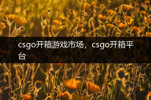 csgo开箱游戏市场，csgo开箱平台