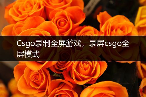 Csgo录制全屏游戏，录屏csgo全屏模式