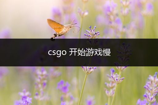 csgo 开始游戏慢