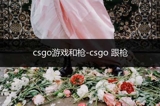 csgo游戏和枪-csgo 跟枪