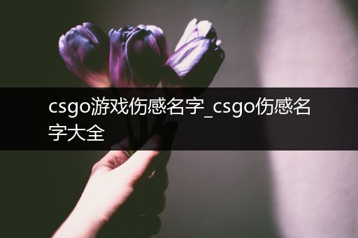 csgo游戏伤感名字_csgo伤感名字大全