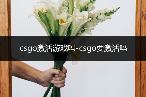 csgo激活游戏吗-csgo要激活吗