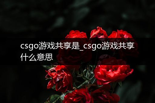 csgo游戏共享是_csgo游戏共享什么意思