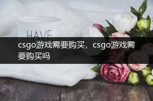 csgo游戏需要购买，csgo游戏需要购买吗