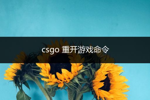 csgo 重开游戏命令