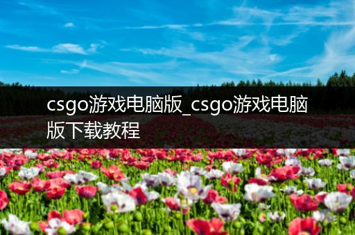 csgo游戏电脑版_csgo游戏电脑版下载教程