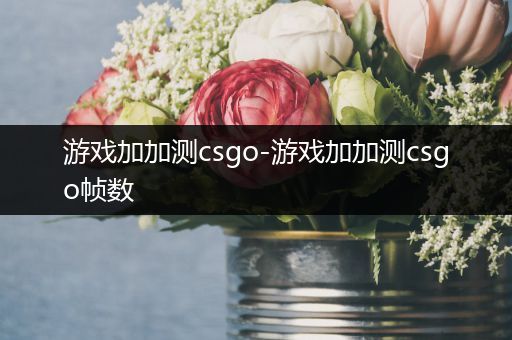 游戏加加测csgo-游戏加加测csgo帧数