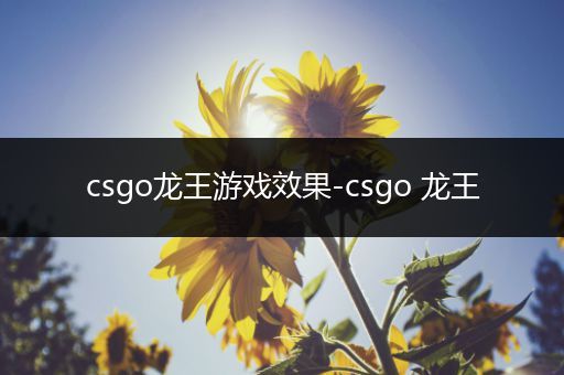 csgo龙王游戏效果-csgo 龙王
