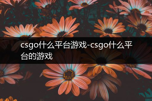 csgo什么平台游戏-csgo什么平台的游戏
