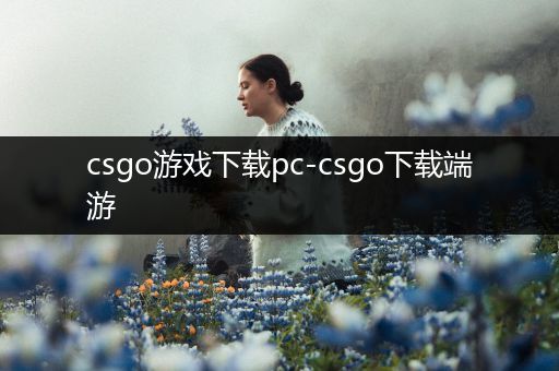 csgo游戏下载pc-csgo下载端游