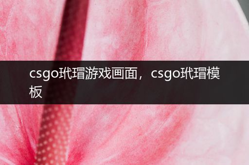 csgo玳瑁游戏画面，csgo玳瑁模板