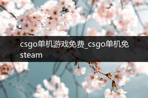 csgo单机游戏免费_csgo单机免steam